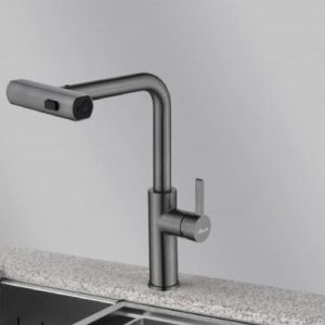 Vòi Tiffany Raindance